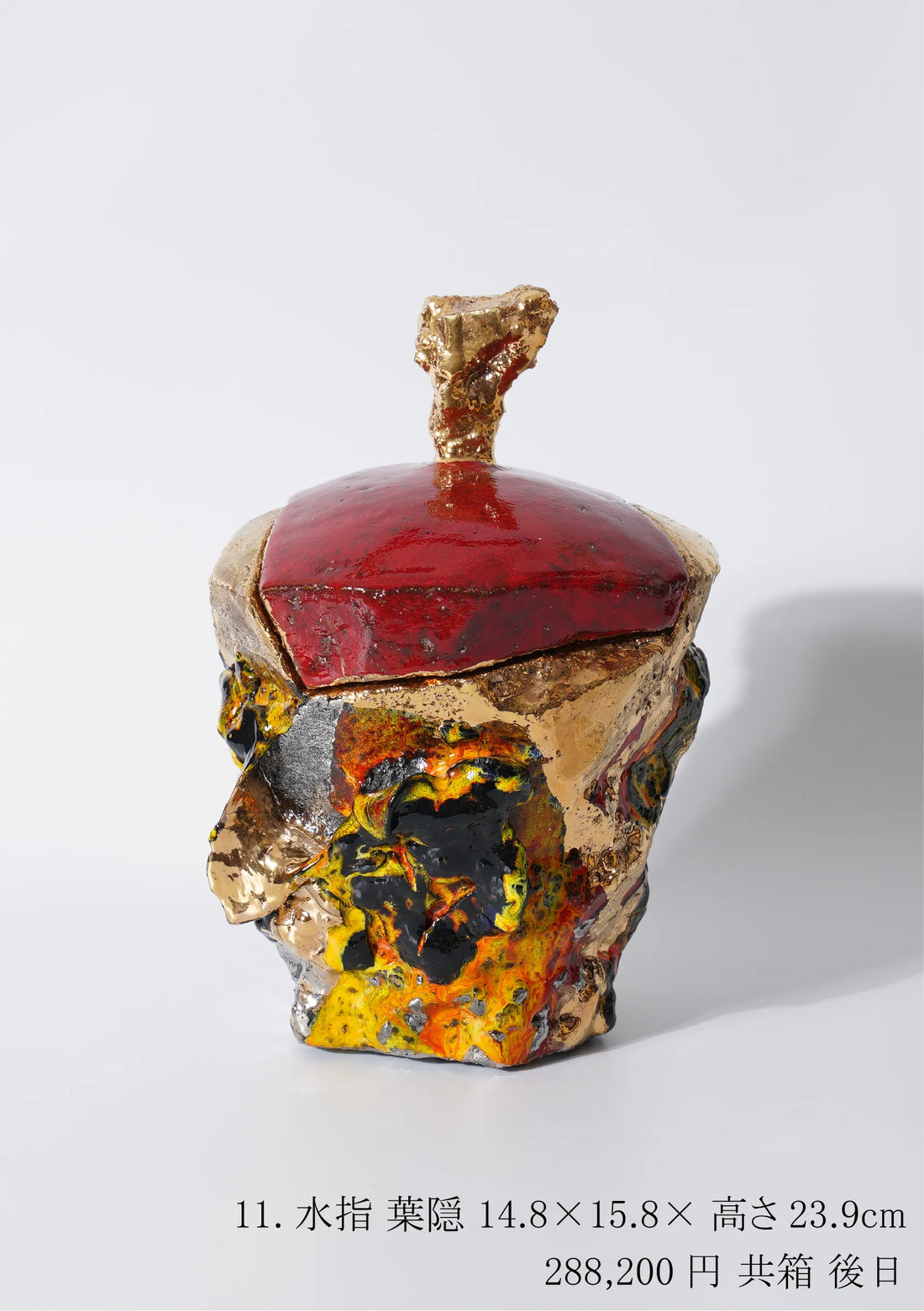 Toru Ichikawa solo exhibiion