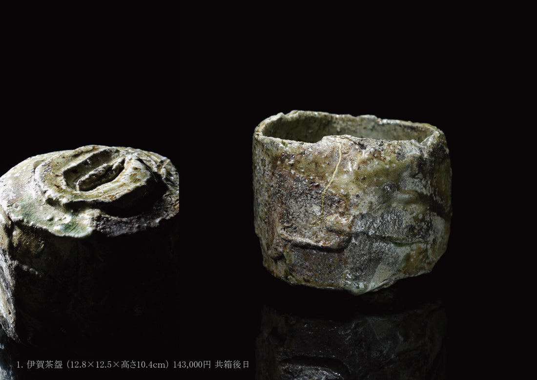 Takashi Tanimoto solo exhibition