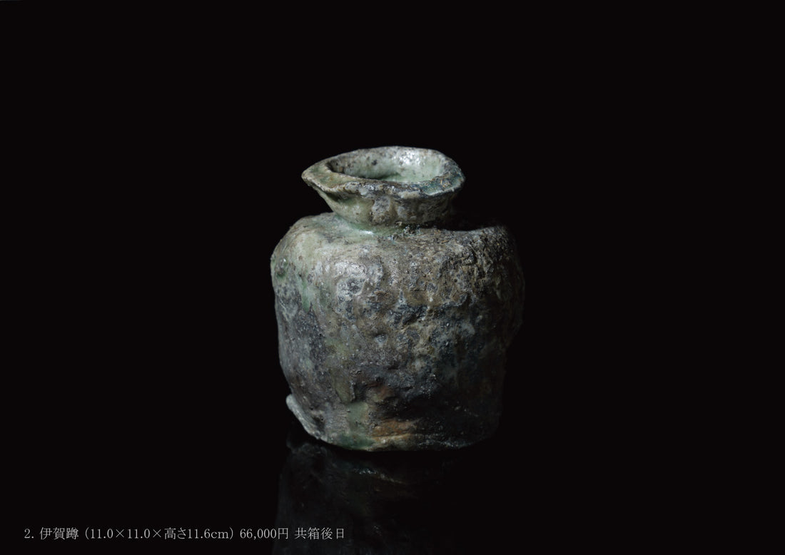 Takashi Tanimoto solo exhibition