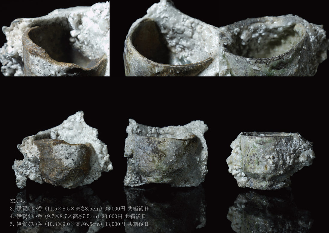 Takashi Tanimoto solo exhibition