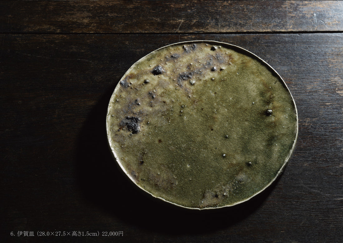 Takashi Tanimoto solo exhibition
