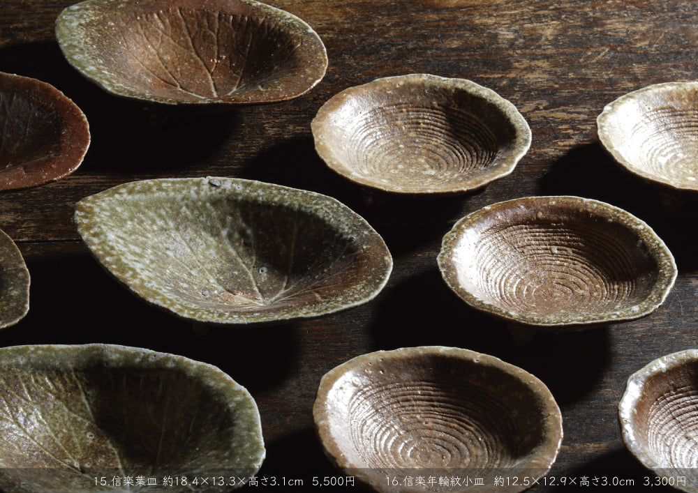 Makoto Hashimoto solo exhibition