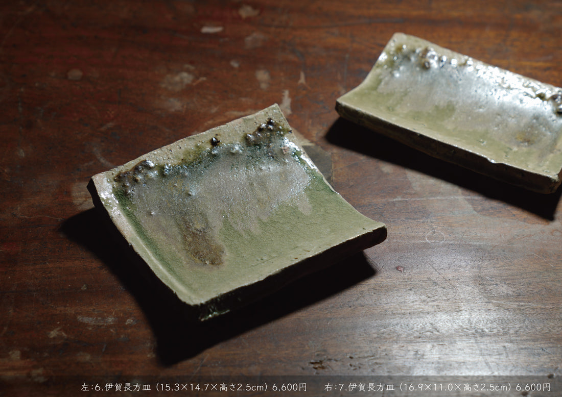 Takashi Tanimoto solo exhibition
