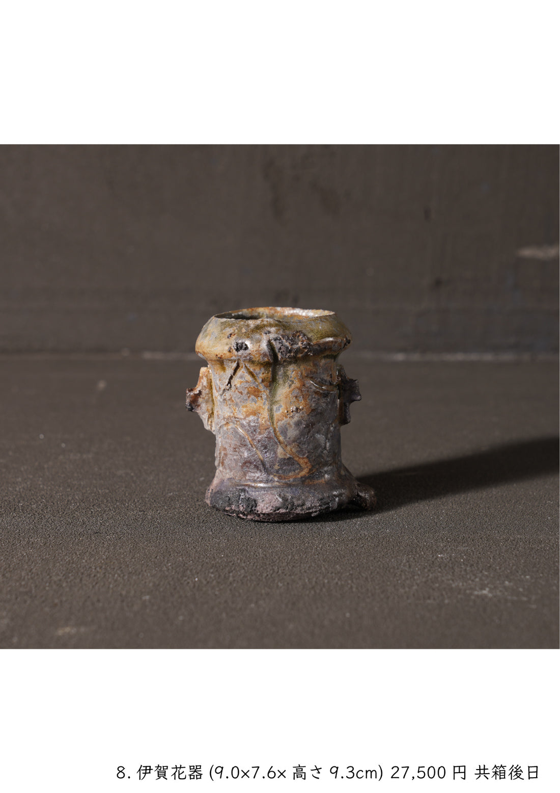Shinya Fukushima solo exhibition