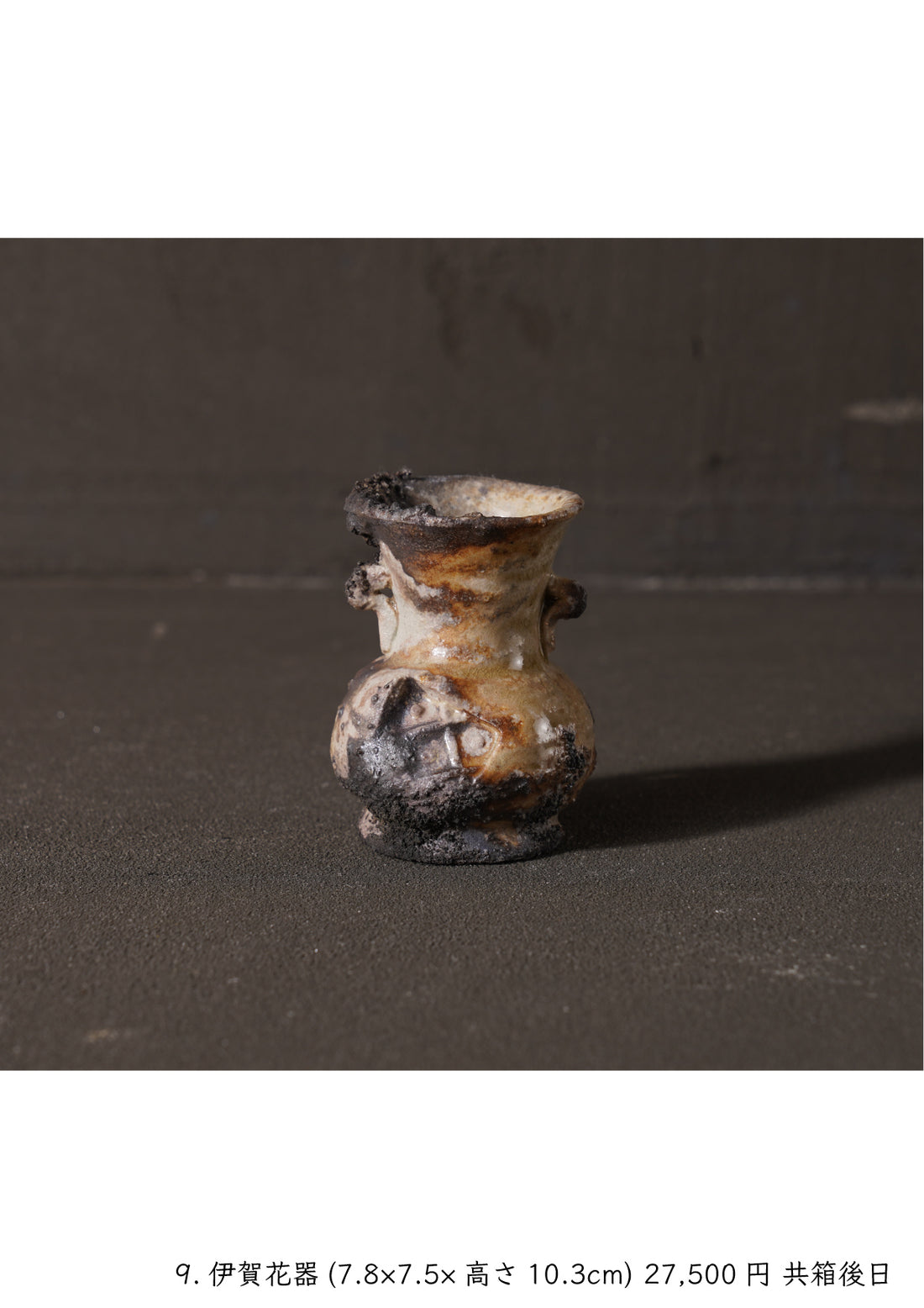 Shinya Fukushima solo exhibition