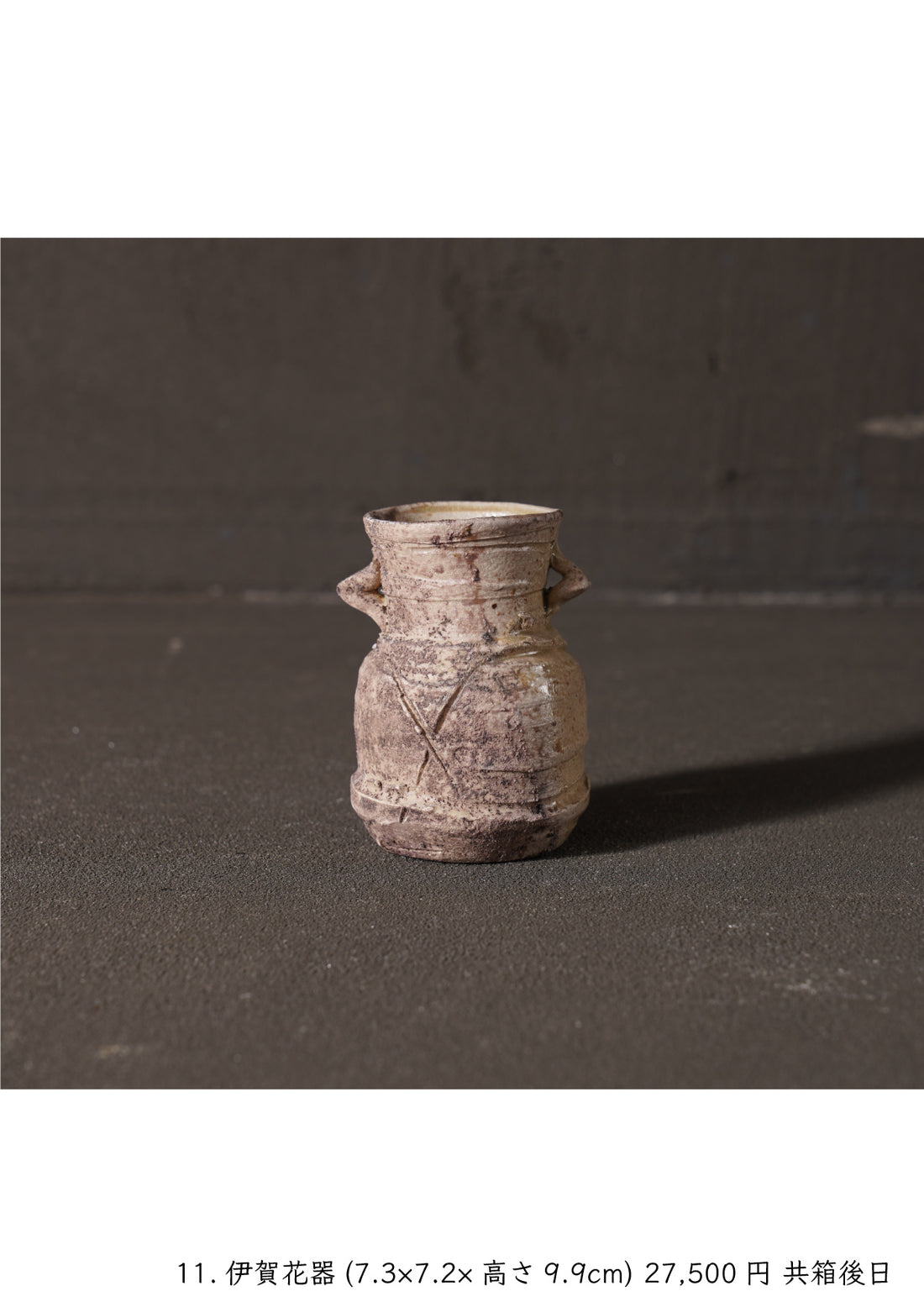 Shinya Fukushima solo exhibition