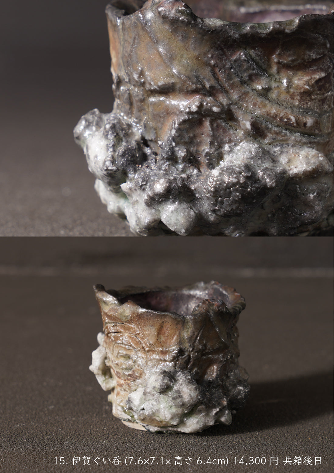 Shinya Fukushima solo exhibition