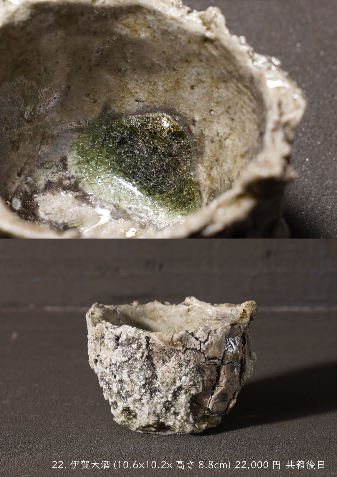 Shinya Fukushima solo exhibition