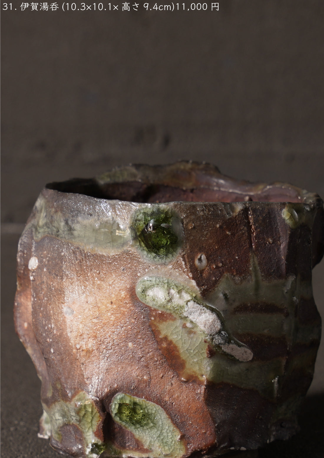 Shinya Fukushima solo exhibition