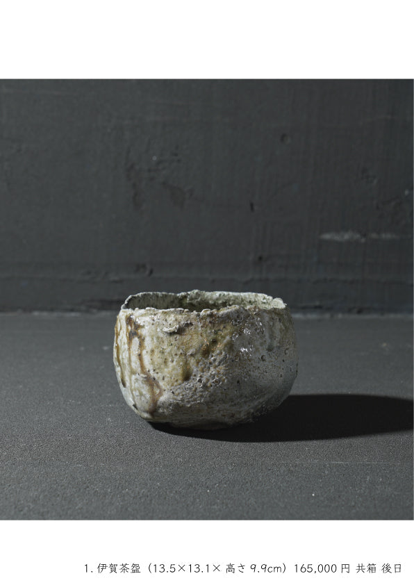 Takashi Tanimoto solo exhibition