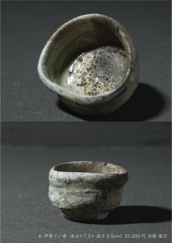 Takashi Tanimoto solo exhibition