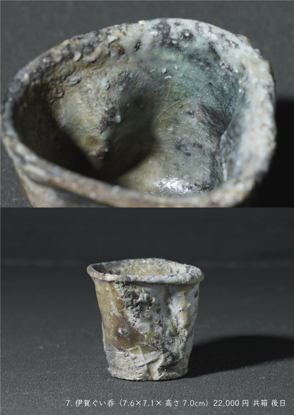 Takashi Tanimoto solo exhibition