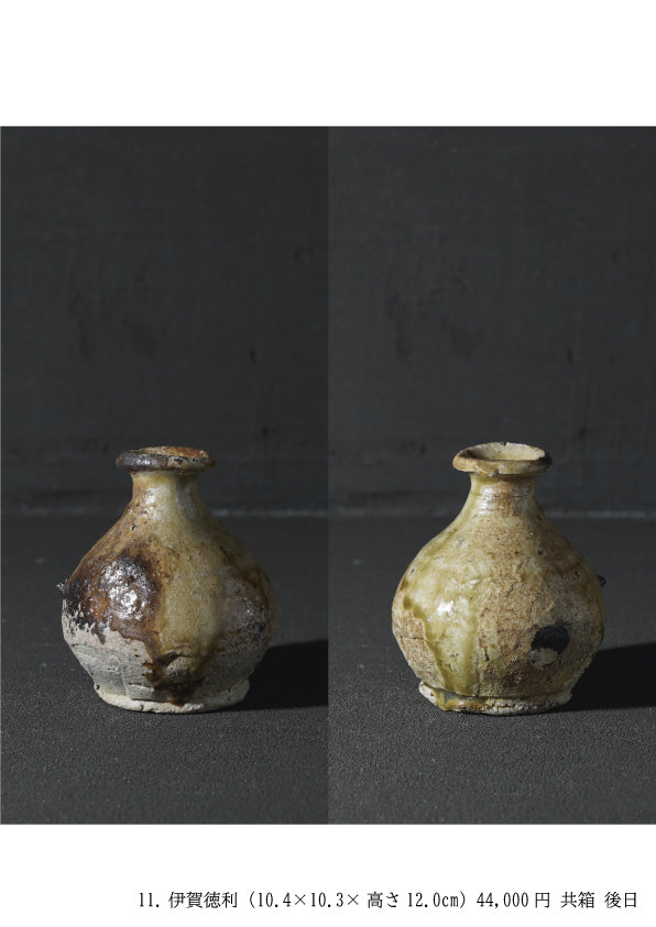 Takashi Tanimoto solo exhibition