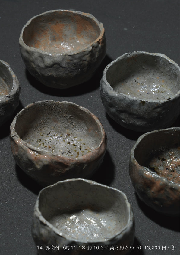 Takashi Tanimoto solo exhibition