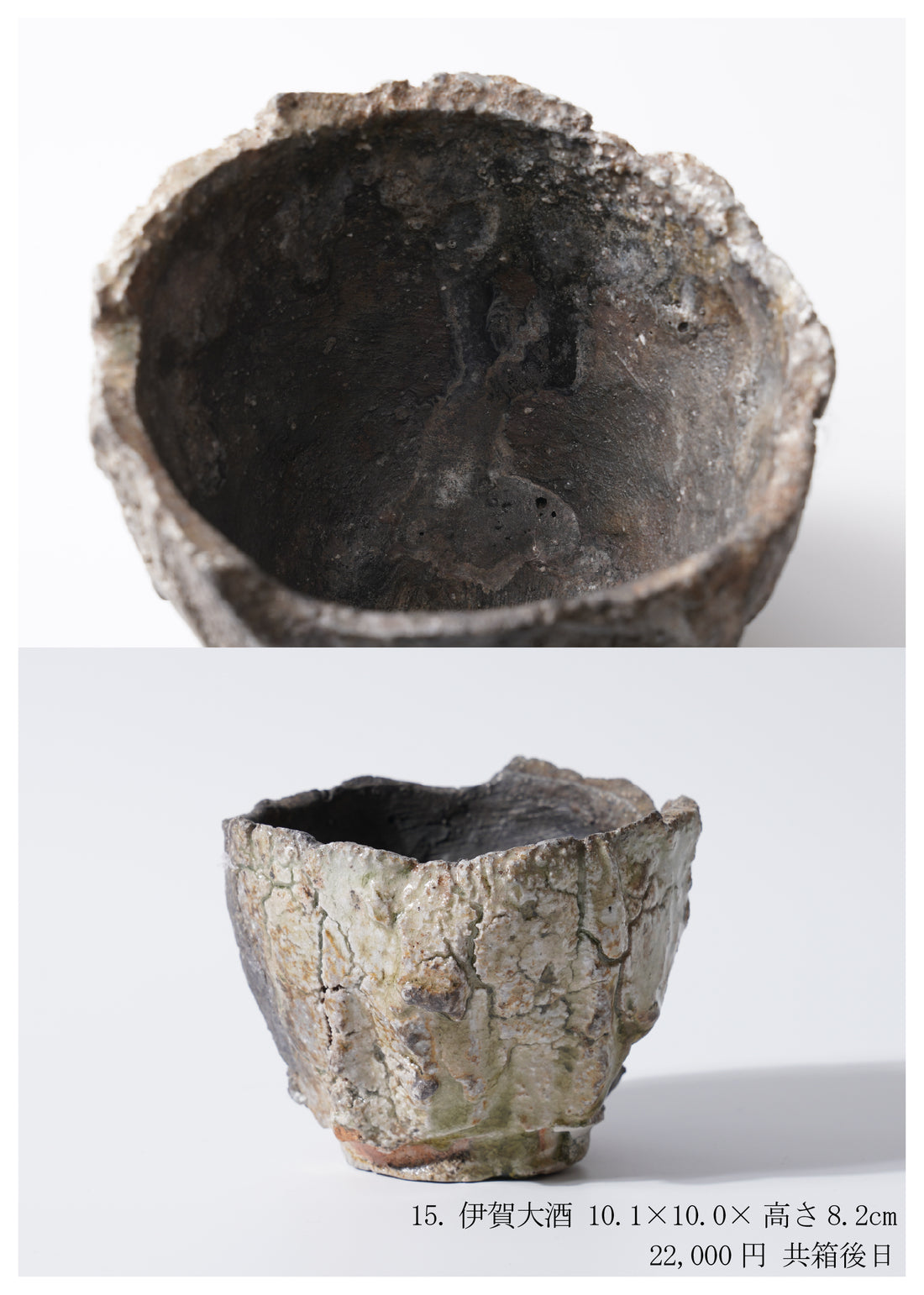 Shinya Fukushima solo exhibition