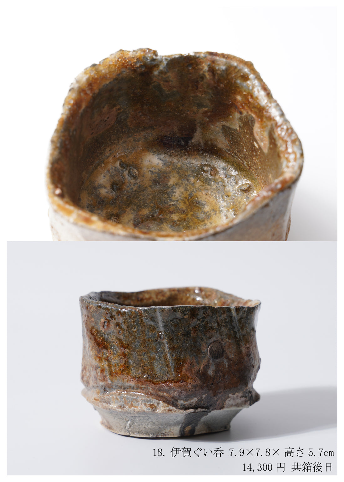 Shinya Fukushima solo exhibition