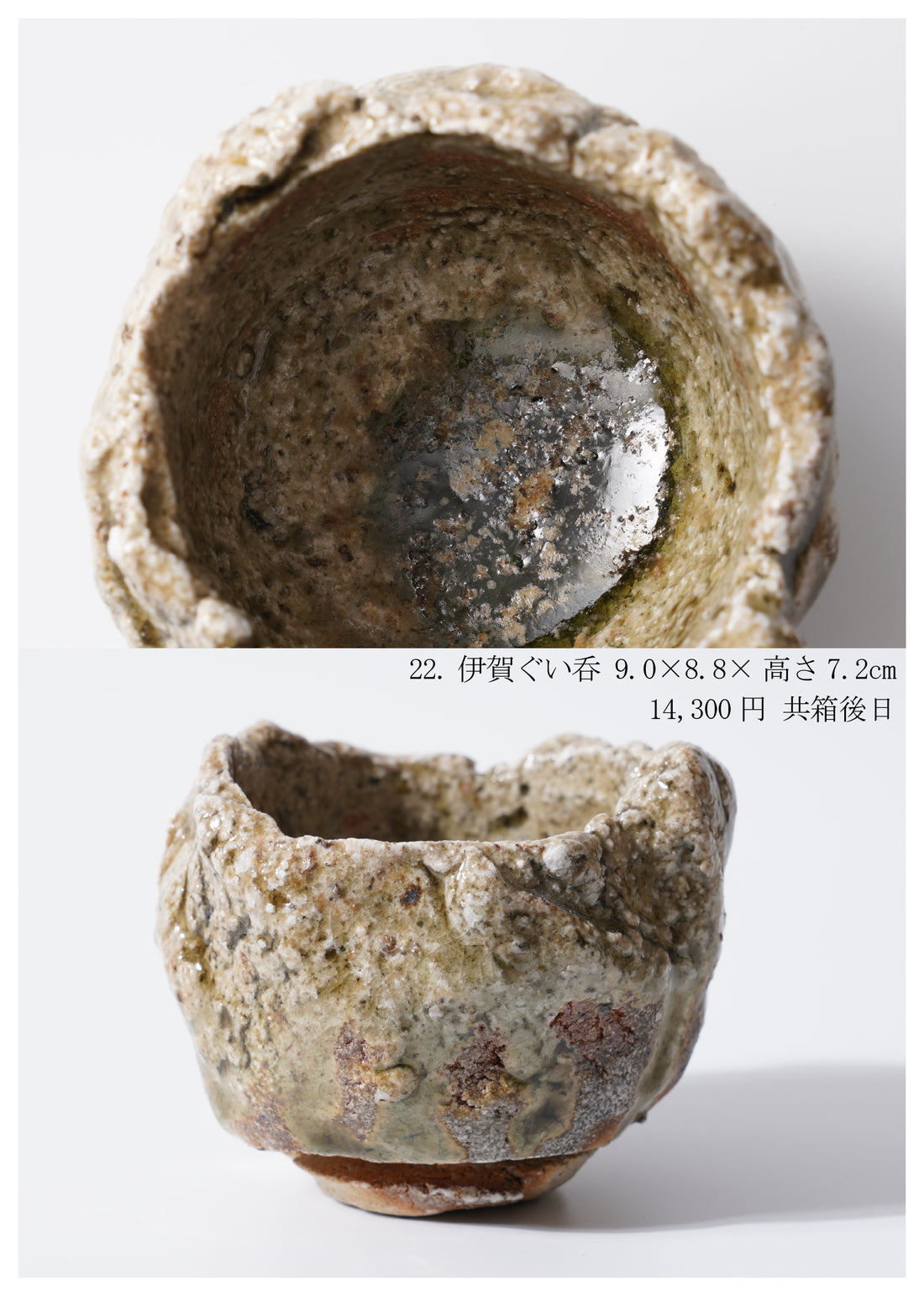 Shinya Fukushima solo exhibition