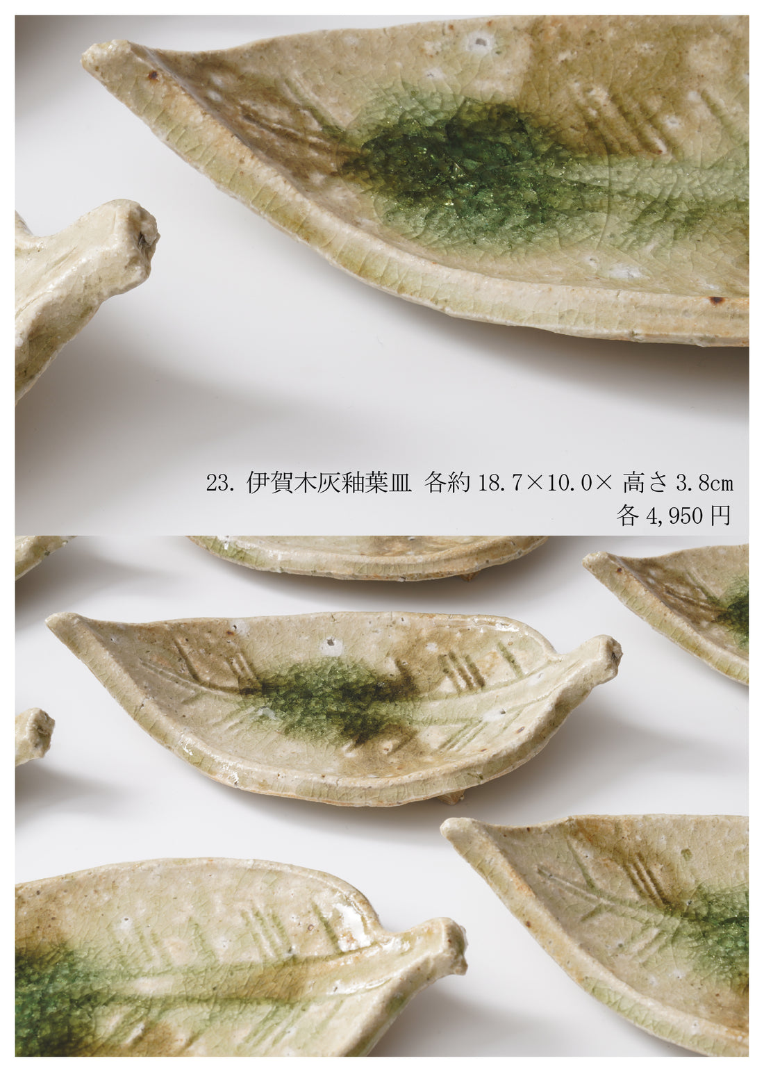Shinya Fukushima solo exhibition