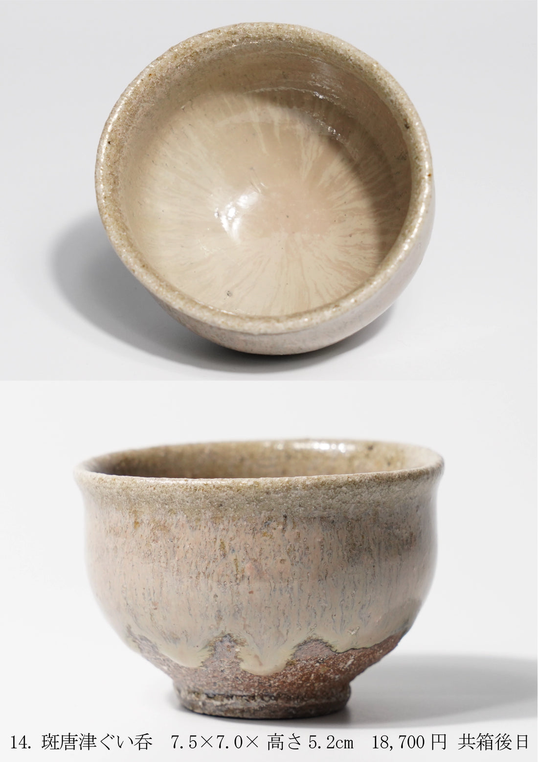 Yotaro Fujinoki solo exhibition