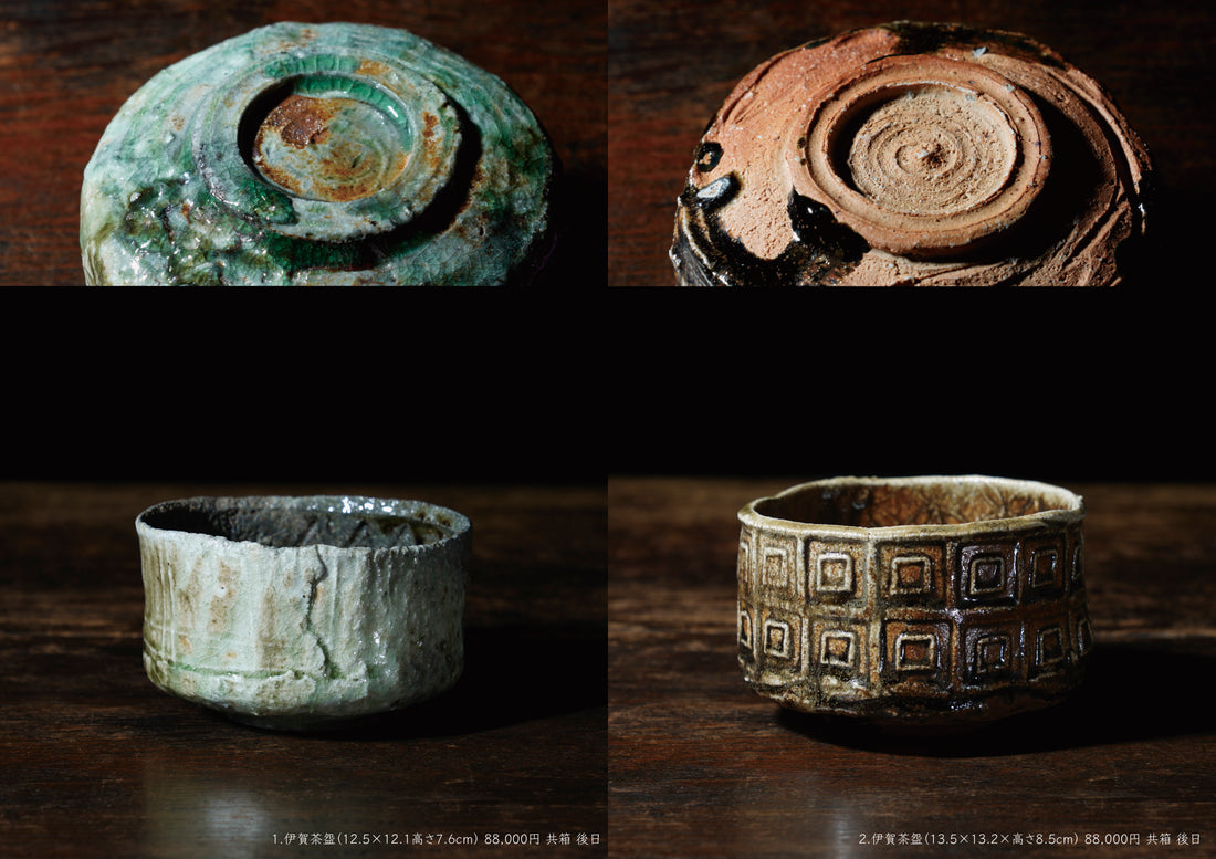 Shinya Fukushima solo exhibition