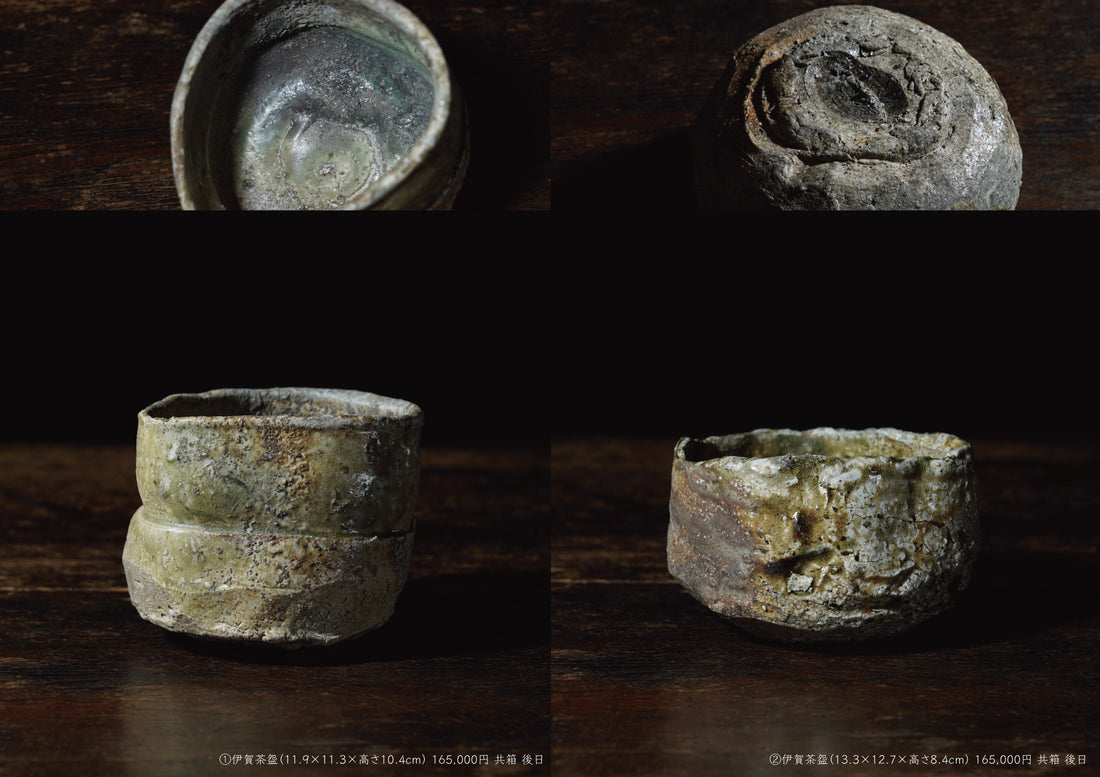 Takashi Tanimoto solo exhibition