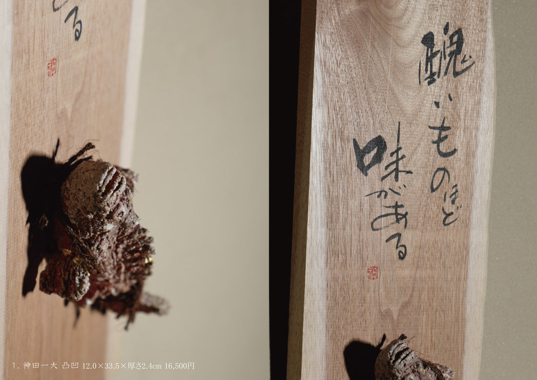 神田一大 杉本祐 刻字と信楽展