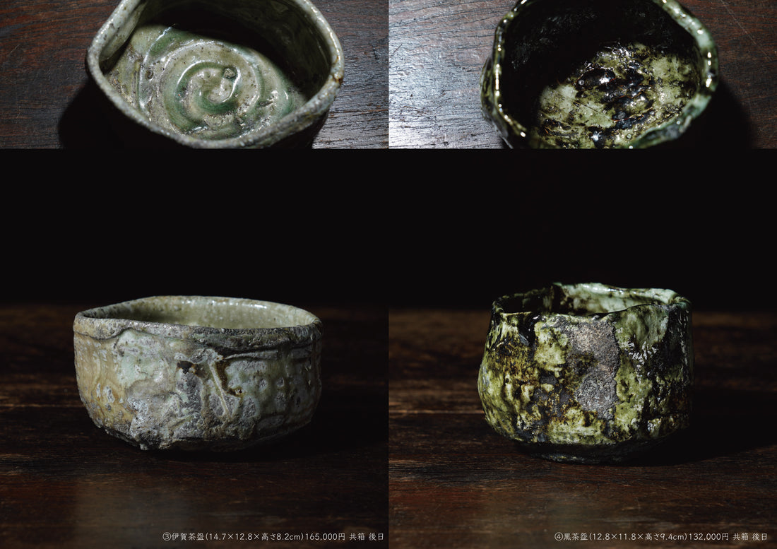 Takashi Tanimoto solo exhibition