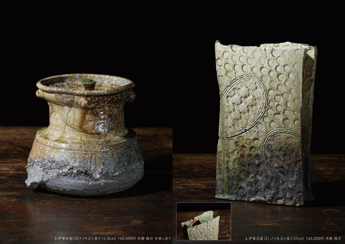 Shinya Fukushima solo exhibition