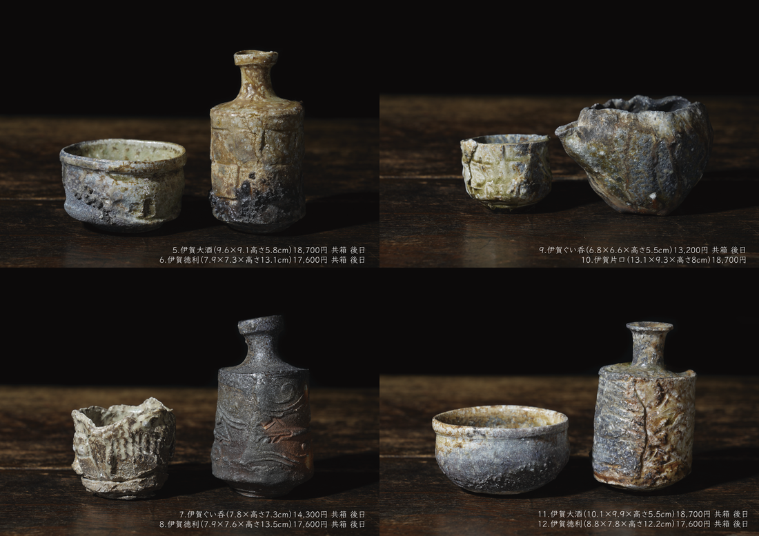 Shinya Fukushima solo exhibition