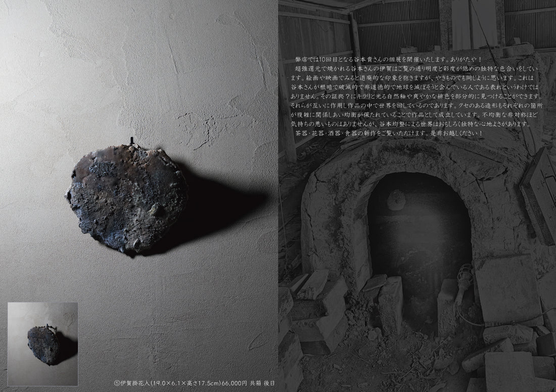 Takashi Tanimoto solo exhibition