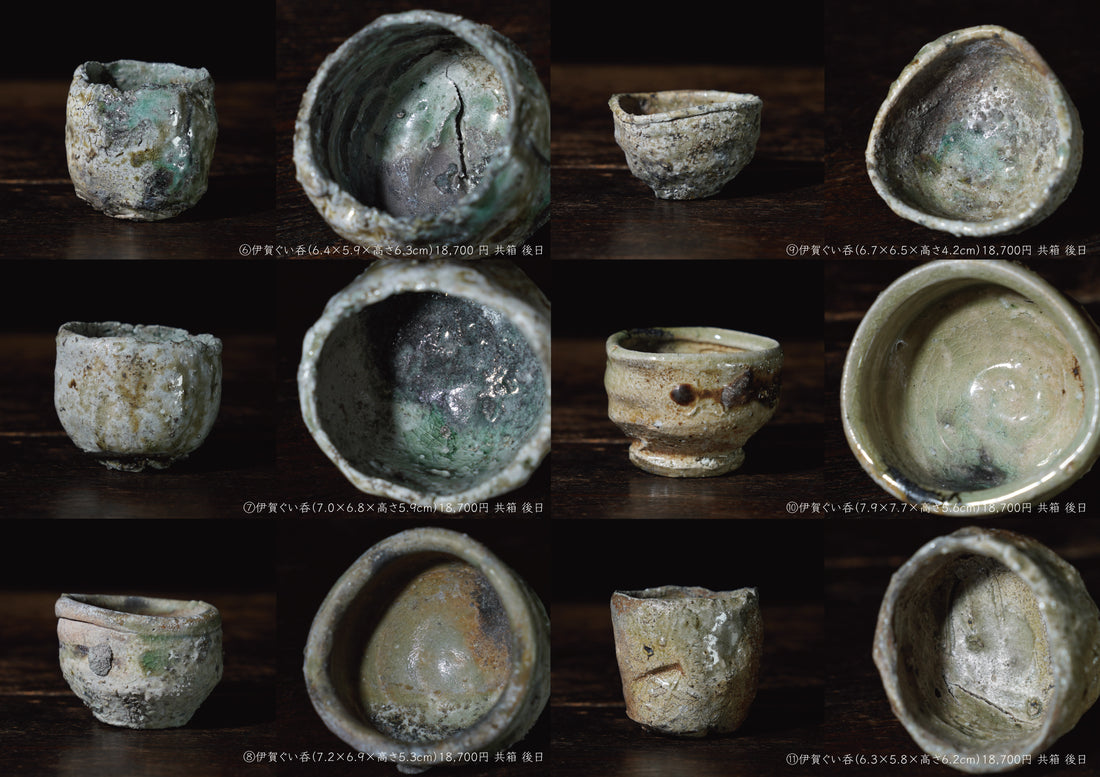 Takashi Tanimoto solo exhibition