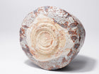 Nezumi-shino Chawan