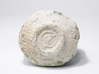 Shigaraki Chawan