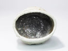 Shigaraki Chawan