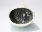 Shigaraki Chawan