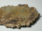 Ceramic Wall Hanging
