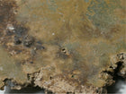 Ceramic Wall Hanging