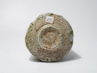 Shigaraki Chawan