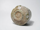 Shigaraki Chawan