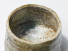 Shigaraki Chawan