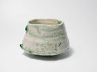 Shigaraki Chawan