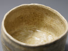 Hai-sei Hotaru-de Kowabi Chawan