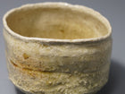 Hai-sei Hotaru-de Kowabi Chawan