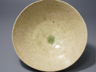 Hai-sei Hotaru-de Chawan