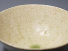 Hai-sei Hotaru-de Chawan