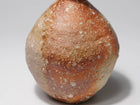 Shigaraki Tokkuri