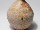 Shigaraki Tokkuri
