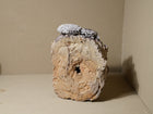 Iga Flower Vase