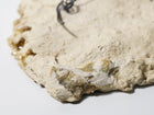 Ceramic Wall Hanging