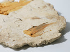 Ceramic Wall Hanging